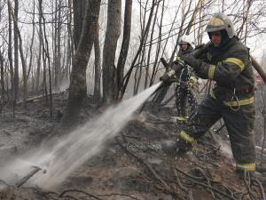 600 населенных пунктов и СНТ находятся под угрозой лесных пожаров в Свердловской области