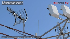 Киргизские сертификаты заблокированы, птиц в Пулково посчитали, дома стали умнее
